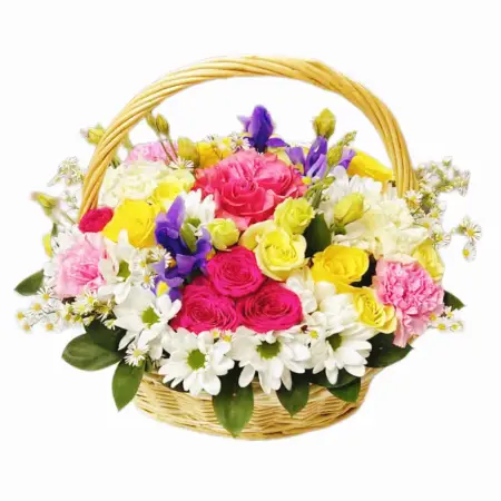 Солнечная мечта