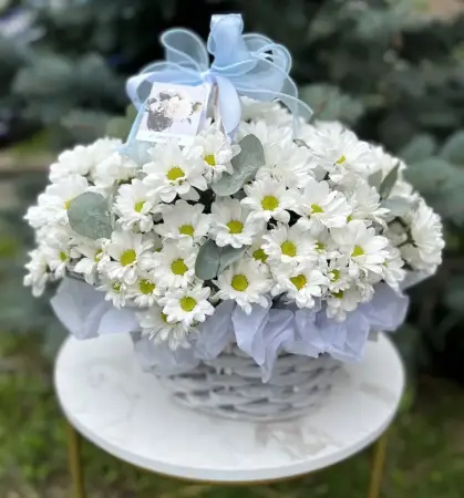 Долина лунного света